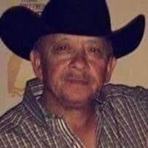 Meet your Posher, Gilbert